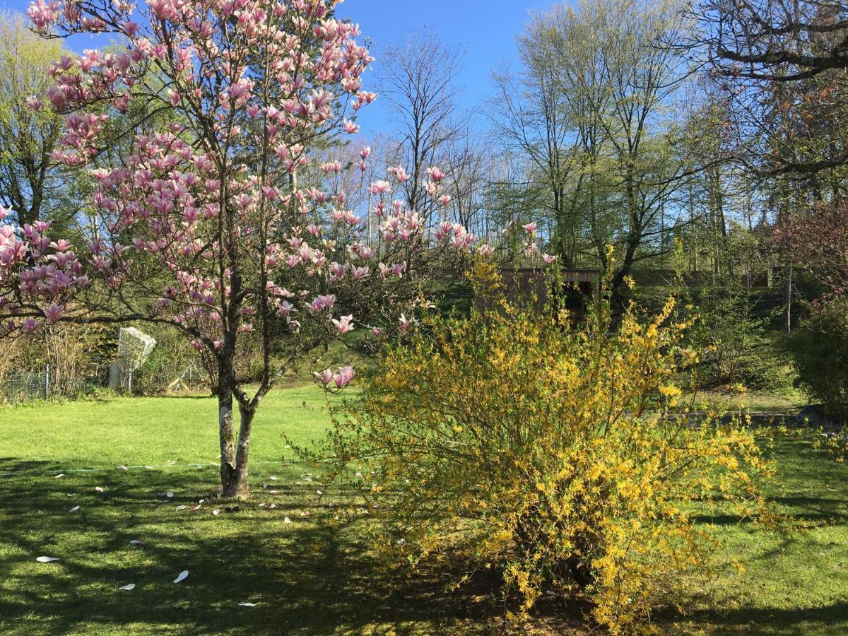 Villa Starnberger See ペッキング エクステリア 写真